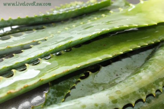 Read more about the article How to cut and what to do with aloe vera