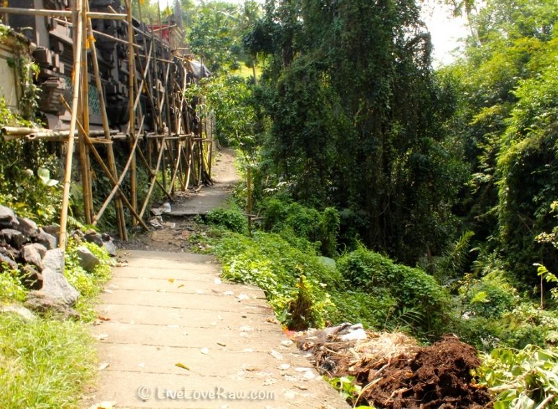 broken path by Campuhan Ridge walk, Ubud