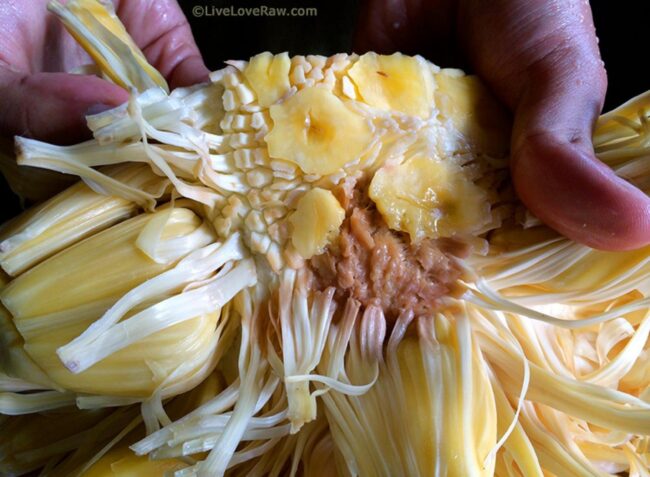 Bad bit of a jackfruit