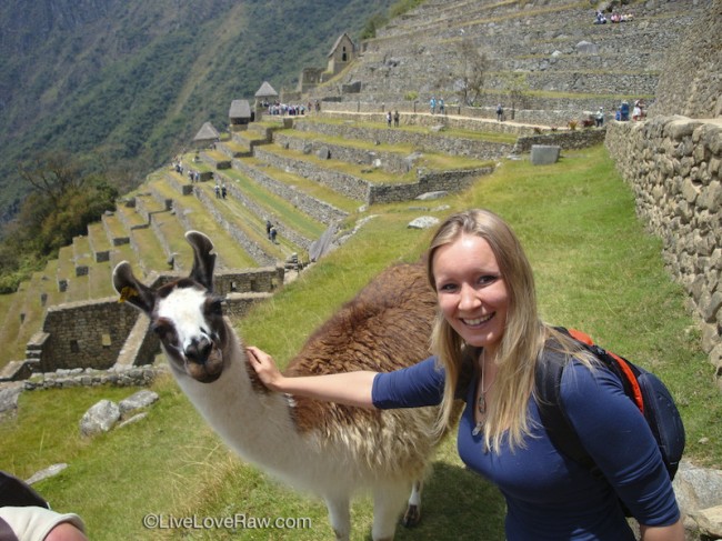 Anya Andreeva with alpaca, Peru, Machu Picchu