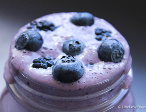 Blueberry Bliss smoothie, sugar-free