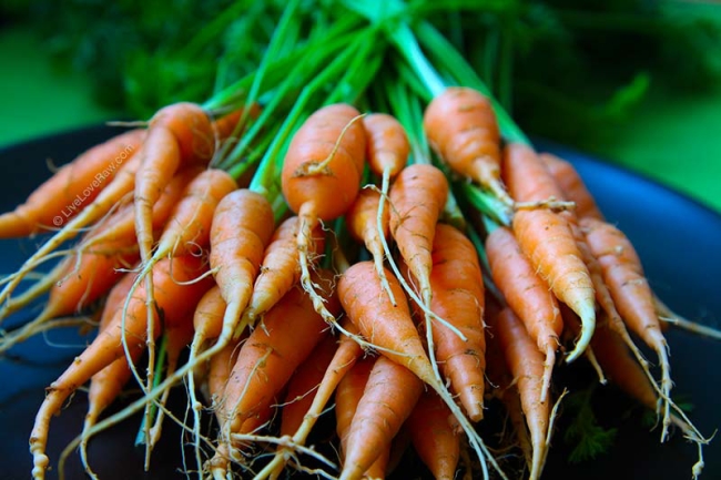 Baby carrot bunch