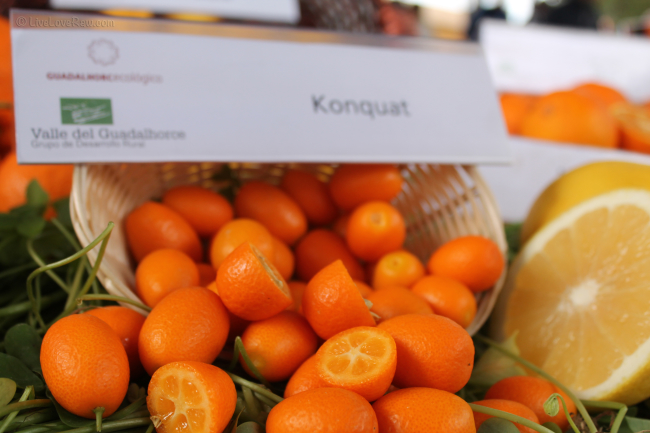 konquat