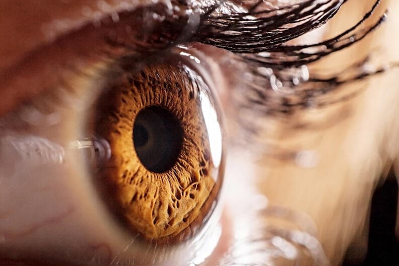 beautiful brown eye close-up